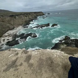 Whale Watching Tours - Puerto Lopez