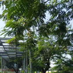 Malecón del Río Quevedo - Quevedo