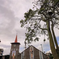 Parque Central de Quevedo - Quevedo