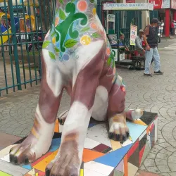 Río Vinces - Quevedo