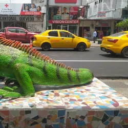 Río Vinces - Quevedo