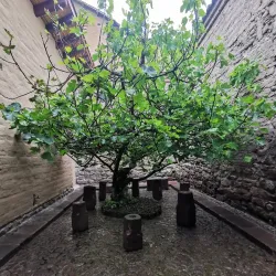 Museo Casa del Alabado - Quito