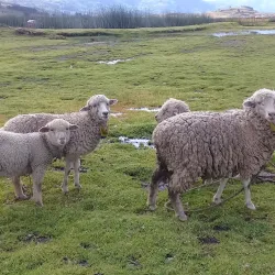 Laguna Colta - Riobamba