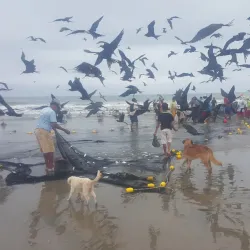 El Morro de San Clemente - San Clemente