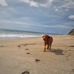 El Morro de San Clemente - San Clemente