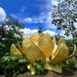 Centro Cultural Tsáchila - Santo Domingo