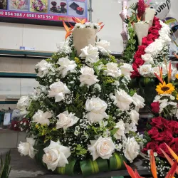 Mercado Central de Santo Domingo - Santo Domingo