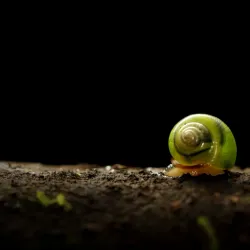 Reserva Ecológica La Perla - Santo Domingo