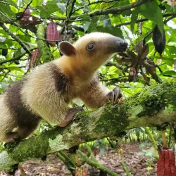 Reserva Ecológica La Perla - Santo Domingo