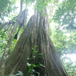 Reserva Ecológica La Perla - Santo Domingo