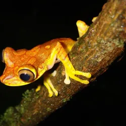 Reserva Ecológica La Perla - Santo Domingo