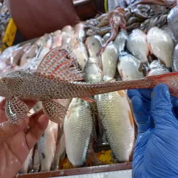 Mercado Municipal de Ventanas - Ventanas