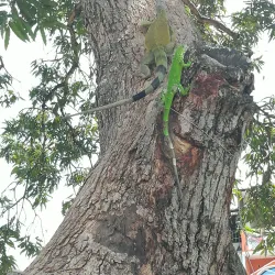 Parque Central de Ventanas - Ventanas