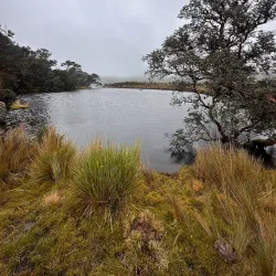 Parque Recreacional La Laguna - Ventanas