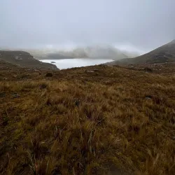 Parque Recreacional La Laguna - Ventanas