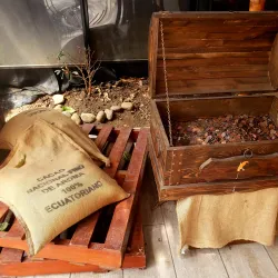 Ruta del Cacao - Ventanas