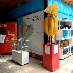 Ruta del Cacao - Ventanas