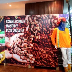 Ruta del Cacao - Ventanas