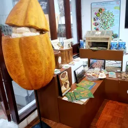 Ruta del Cacao - Ventanas