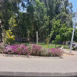 10th of Ramadan City Administration Building - 10th of Ramadan