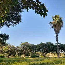 10th of Ramadan City Park - 10th of Ramadan
