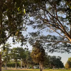 10th of Ramadan City Park - 10th of Ramadan