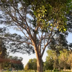 10th of Ramadan City Park - 10th of Ramadan