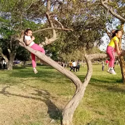 10th of Ramadan City Park - 10th of Ramadan