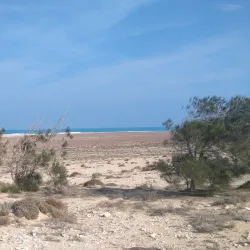 German War Cemetery - Al `alamayn