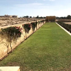 North Africa War Cemetery - Al `alamayn