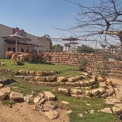 Al Rehab Park - Al Rehab