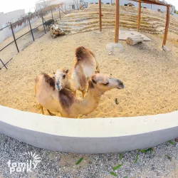 Al Rehab Park - Al Rehab