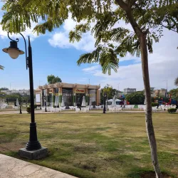 Al Rehab Sports Club - Al Rehab