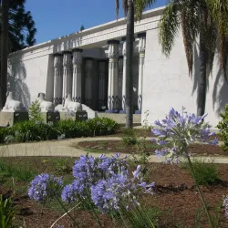 Local Museum Exhibits - Armant