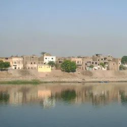 Nile River Banks - Armant