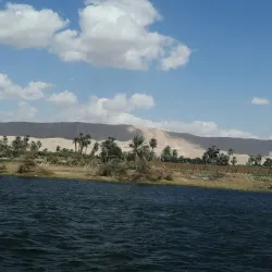 Surrounding Agricultural Lands - Armant