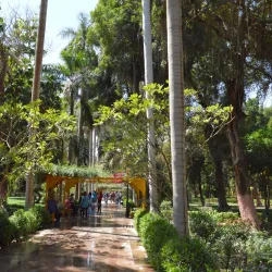 Botanical Garden on Kitchener's Island - Aswan