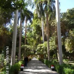 Botanical Garden on Kitchener's Island - Aswan