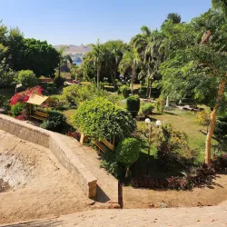Botanical Garden on Kitchener's Island - Aswan