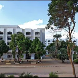 Al-Azhar Mosque of Asyut - Asyut