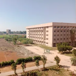 Al-Azhar Mosque of Asyut - Asyut