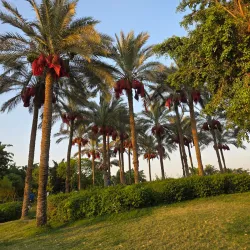 Al-Azhar Park - Cairo