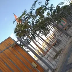 Al-Manshiyya Park - Damietta (Dumyat)