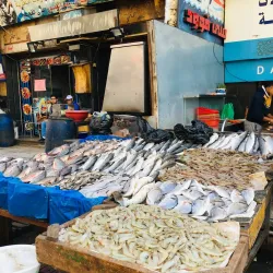 Damietta Fish Market - Damietta (Dumyat)