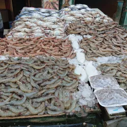 Damietta Fish Market - Damietta (Dumyat)