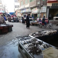 Damietta Fish Market - Damietta (Dumyat)