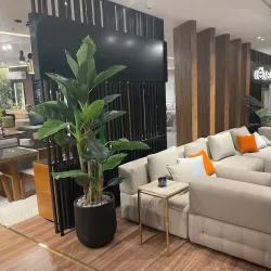 Damietta Furniture Market - Damietta (Dumyat)