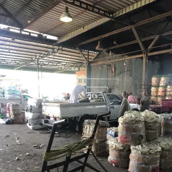 Al Obour Market - El Obour