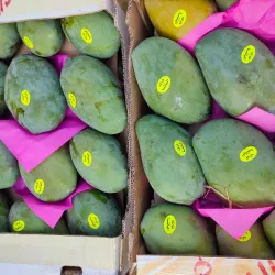 Al Obour Market - El Obour