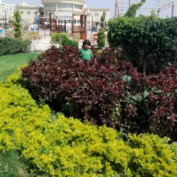 El Obour Cultural Center - El Obour